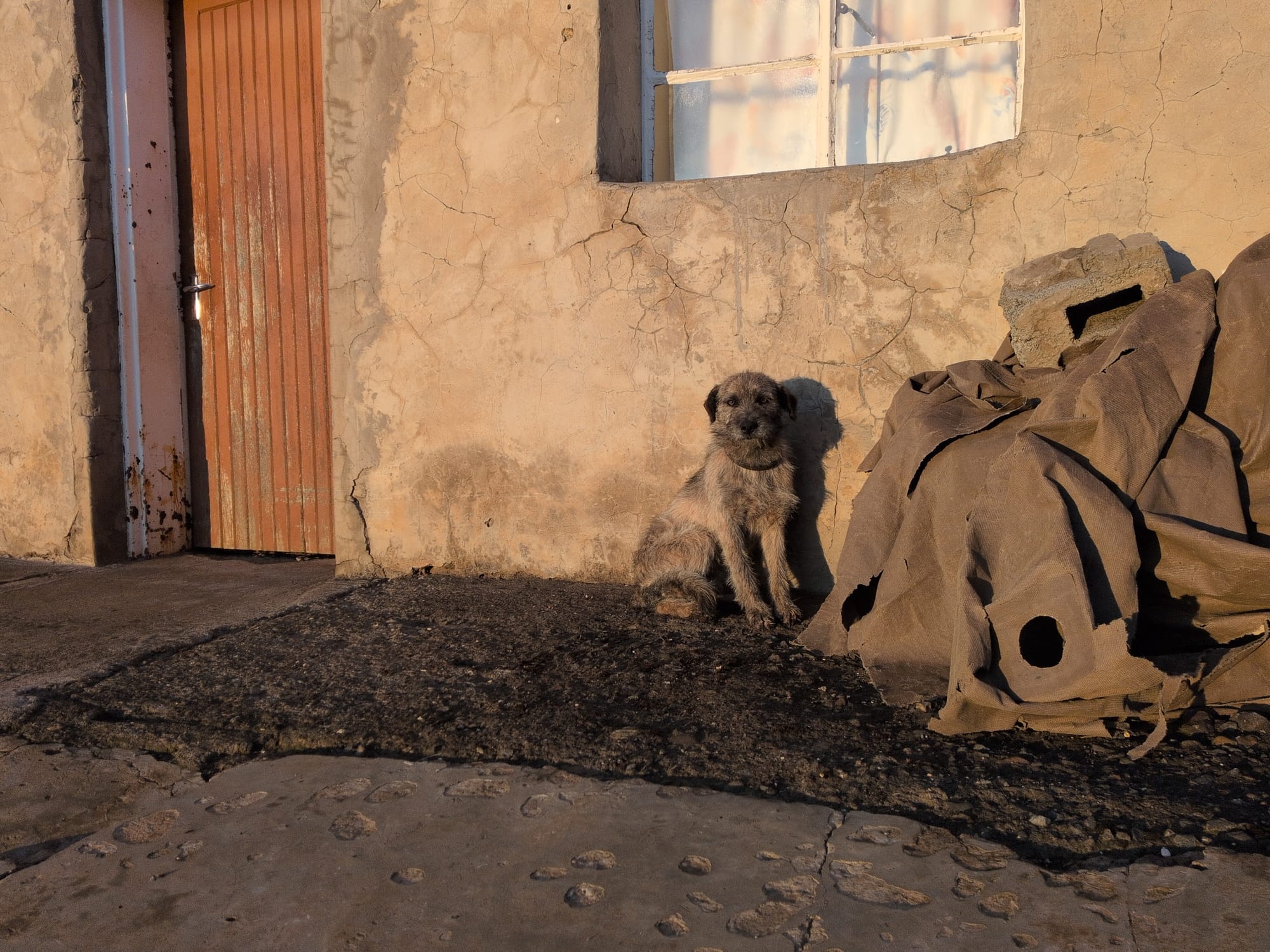 Peace Corps: PST Beginnings