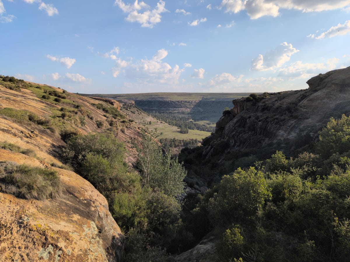 Peace Corps: Week 3 + Q&A #1