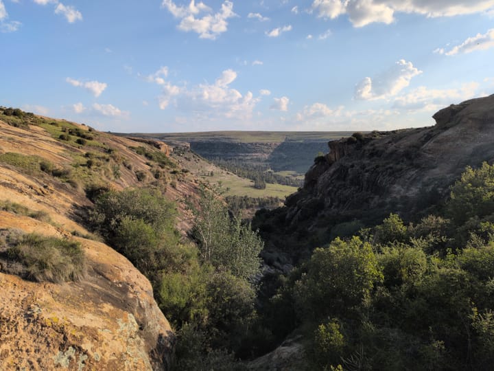 Peace Corps: Week 3 + Q&A #1